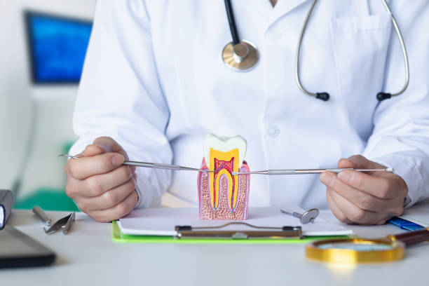 Best Emergency Treatment for Toothache in Cutten, CA